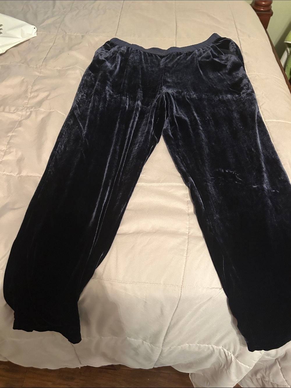 Midnight blue Eileen Fisher suede pants